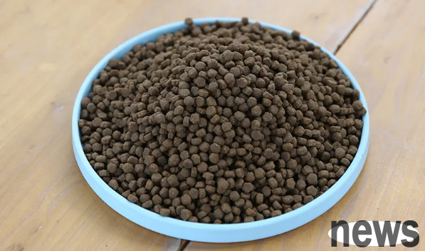 What should I use to replace cat food if I can’t afford it?